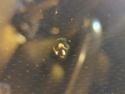 Közeli fotó egy javításra váró kőfelverődésről a szélvédőn.