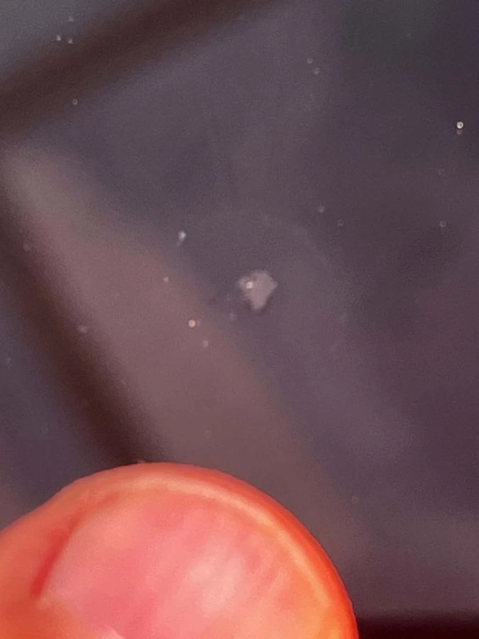 Sikeresen javított kőfelverődés a szélvédő szélén, a frit sáv mellett.
